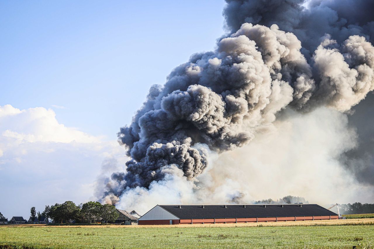 Tienduizenden kippen omgekomen bij grote brand Friesland 