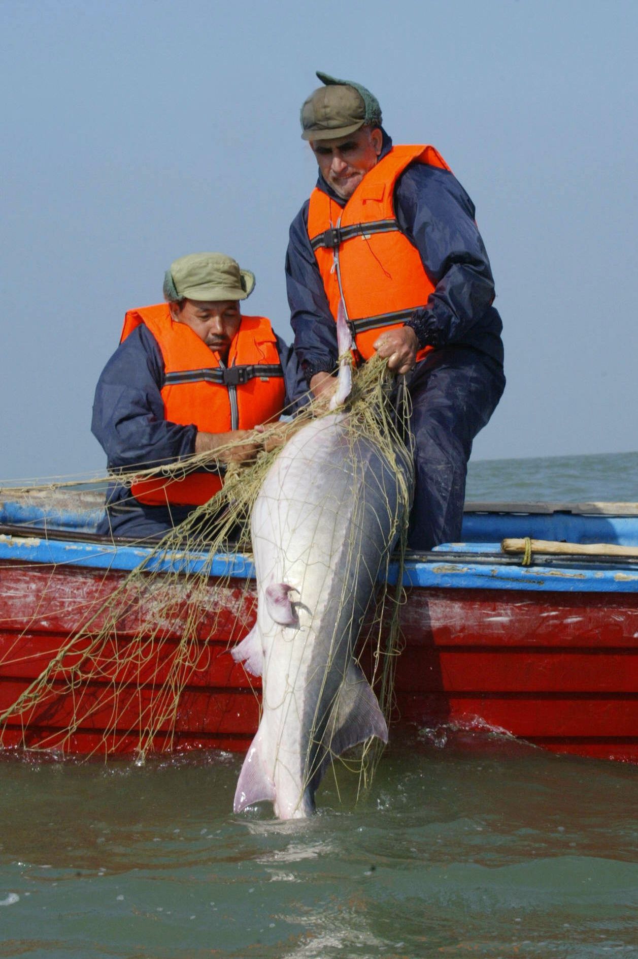 Рыба в Туркмении