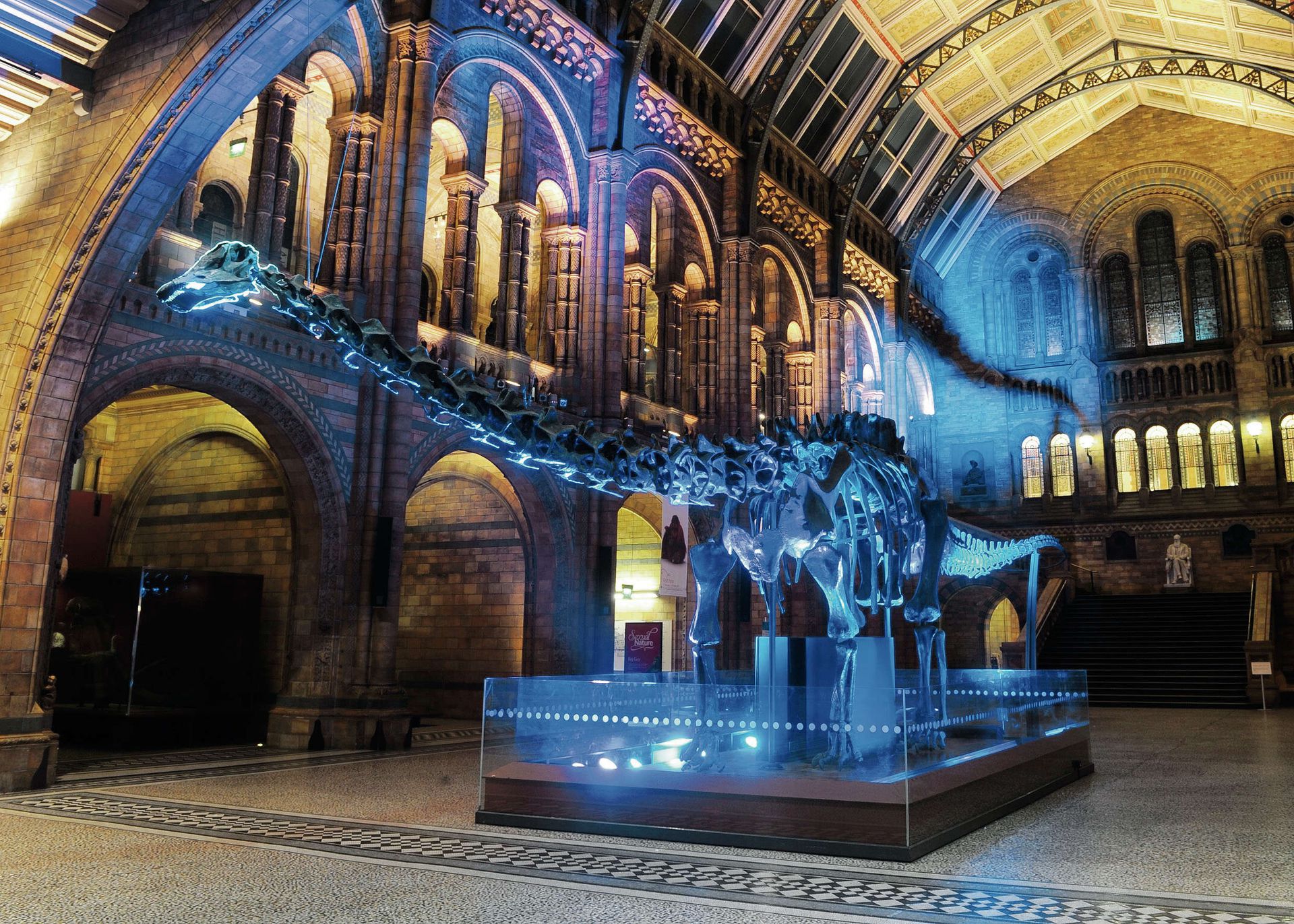 Главный музей лондона. Музей естествознания (natural History Museum). Натурал хистори музей Лондон. Исторический музей в Лондоне. Музей естествознания, Лондон, Великобритания.