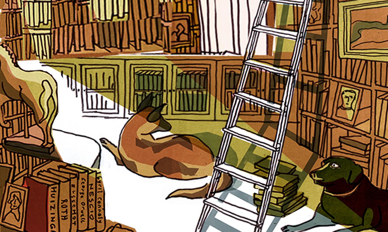 Een bibliotheek bij de ladder van James Joyce 