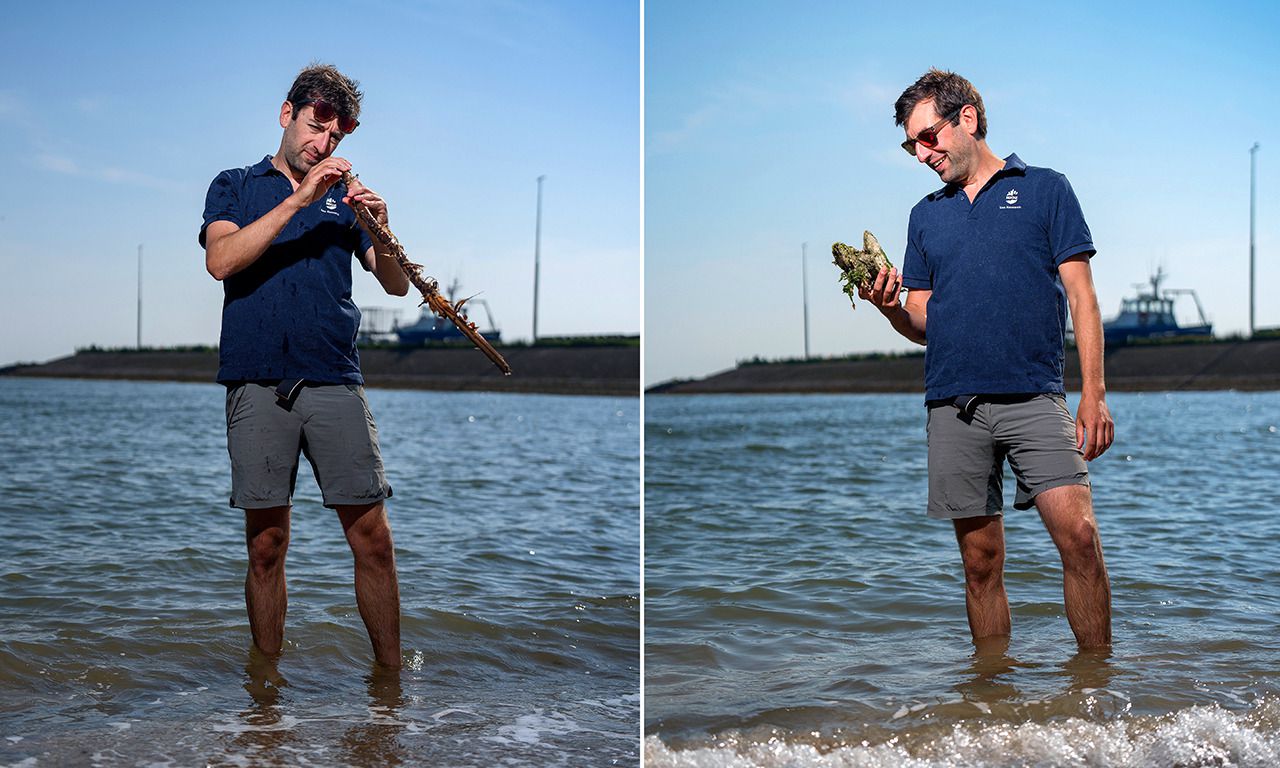 Jon Dickson plaatst afgedankte perenbomen op de bodem van de zee. 