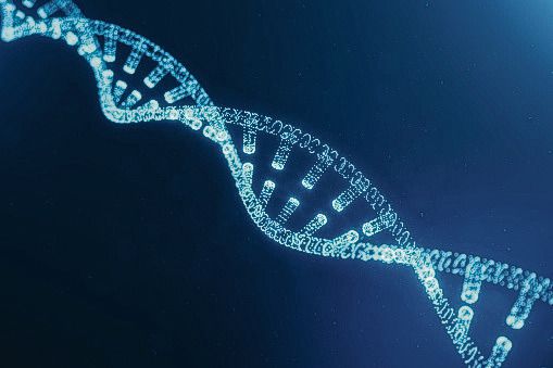 Nieuw genoom van de mens bevat dna uit alle werelddelen 