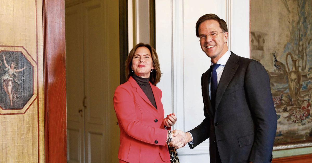 Cora van Nieuwenhuizen - NRC