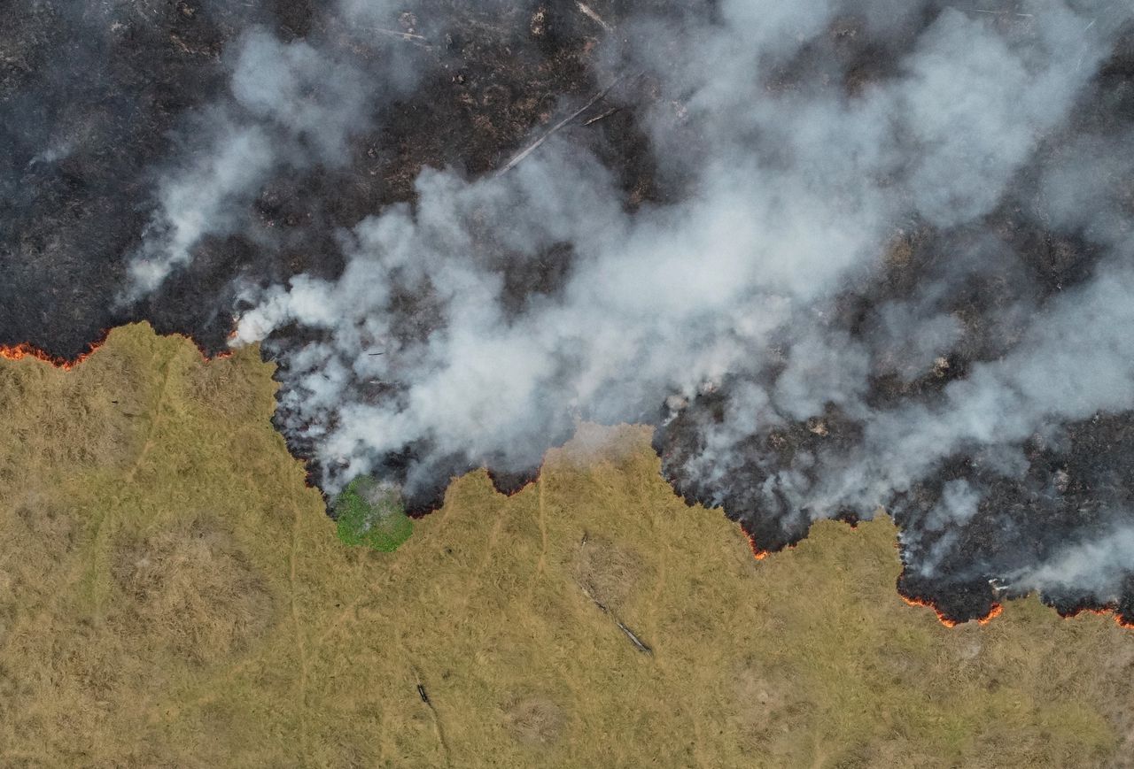 Een bovenaanzicht toont rook die omhoog kringelt uit een uitgebrand deel van de Amazone in Porto Velho