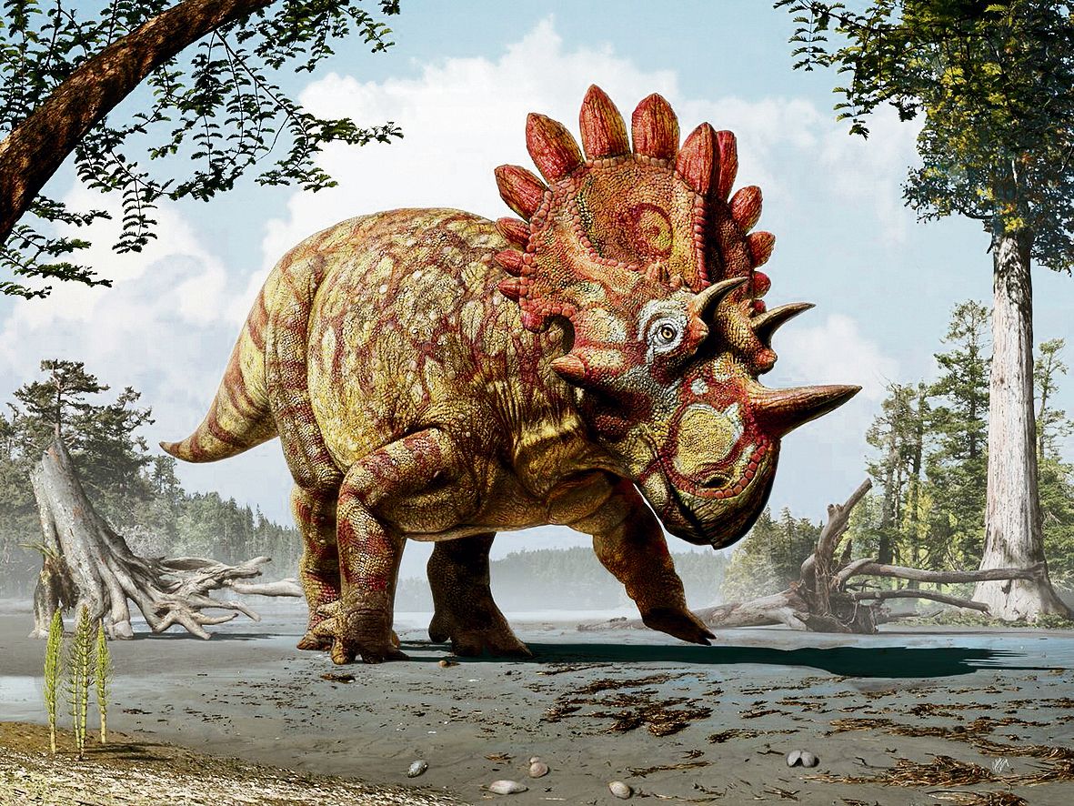 Dino Regaliceratops peterhewsi