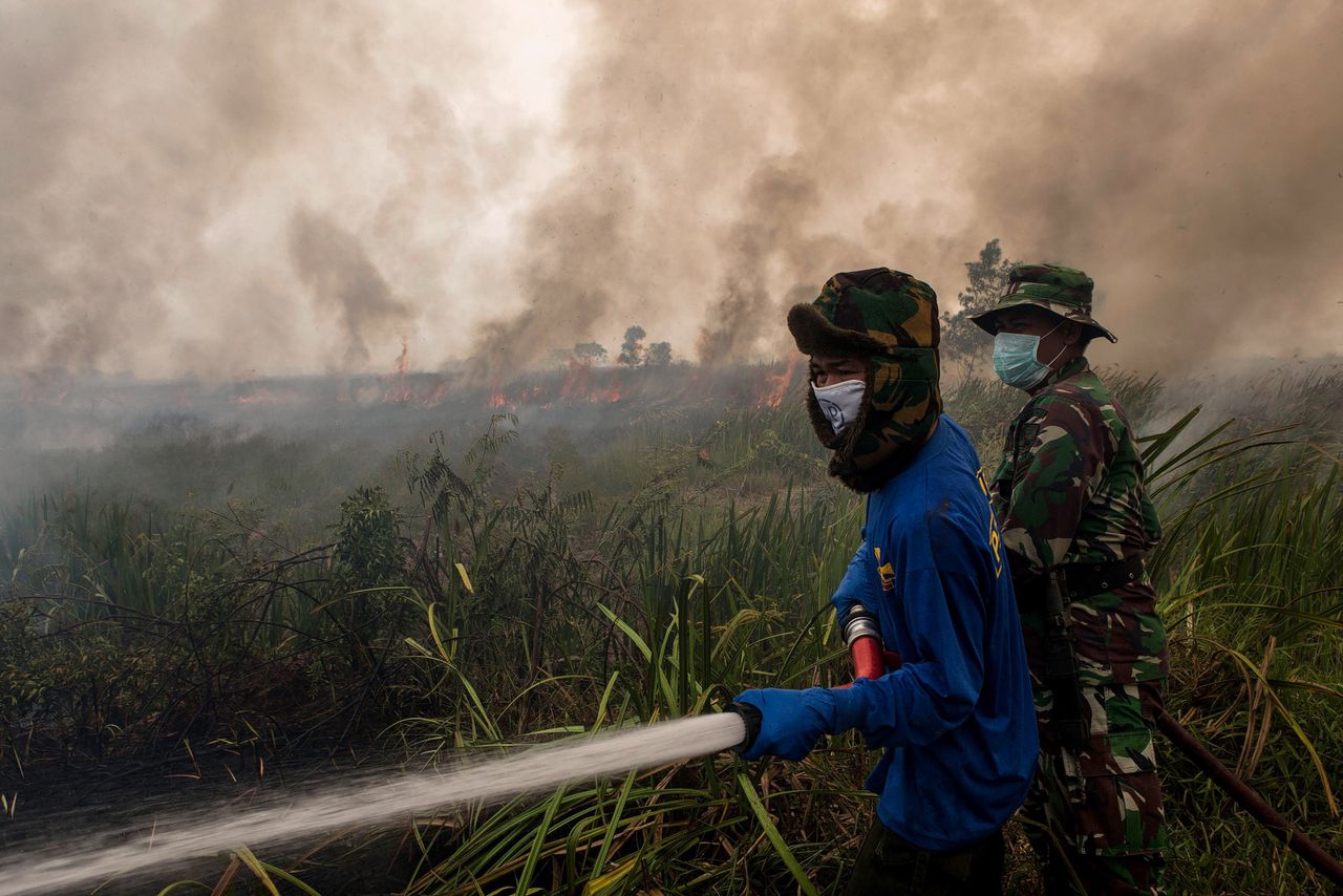 Unprecedentedly Powerful El Niño Begins, Threatening Lasting Global Climate Effects