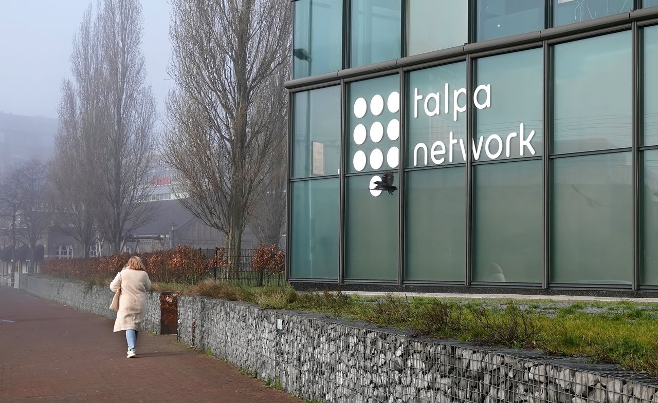 RTL en Talpa straks één grote omroep 