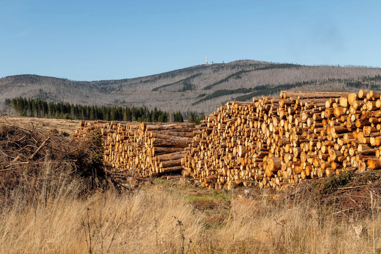 Gabi matisi onlyfans aquí puedes apoyar mi trabajo y