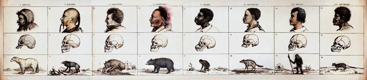 Een tableau uit ‘Types of Mankind’ door Josiah C. Nott and George Gliddon, Philadelphia,1854.