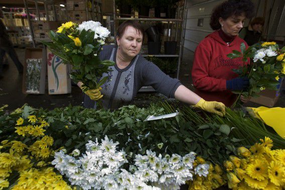 Uitzendkrachten uit Polen aan het werk op de bloemenveiling in Aalsmeer.