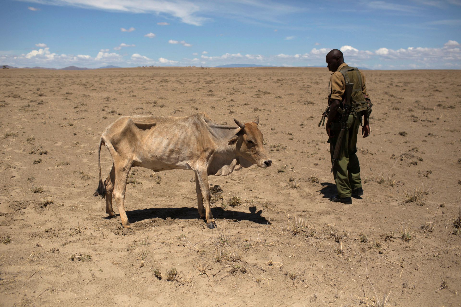 Природа голода. Восточная Африка засуха. 2011 Год: засуха и голод в Восточной Африке. Сахель земледелие.