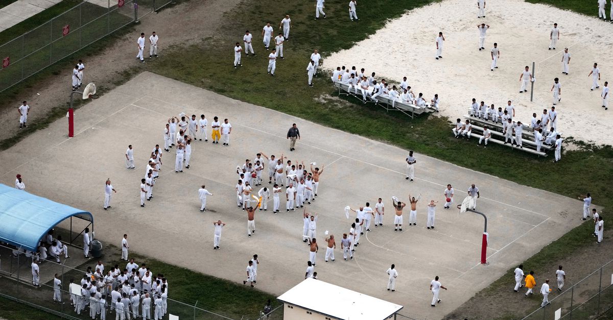 De inhumane aanpak van ICE is geen uitwas, maar doelbewust beleid: ‘Ze proberen mensen te breken’