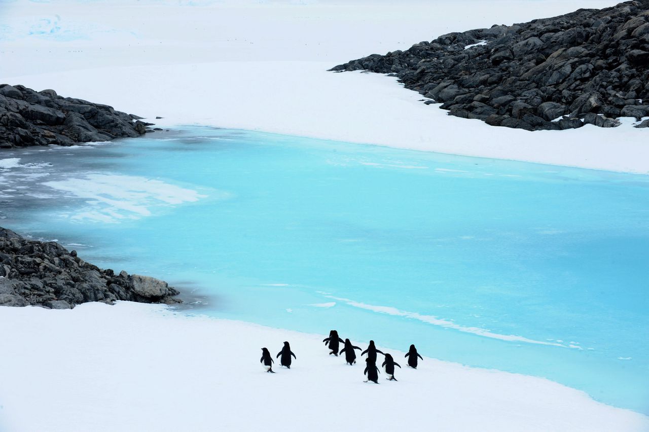 De ijskappen van Antarctica verloren de laatste twee decennia aan massa, schrijft het IPCC.