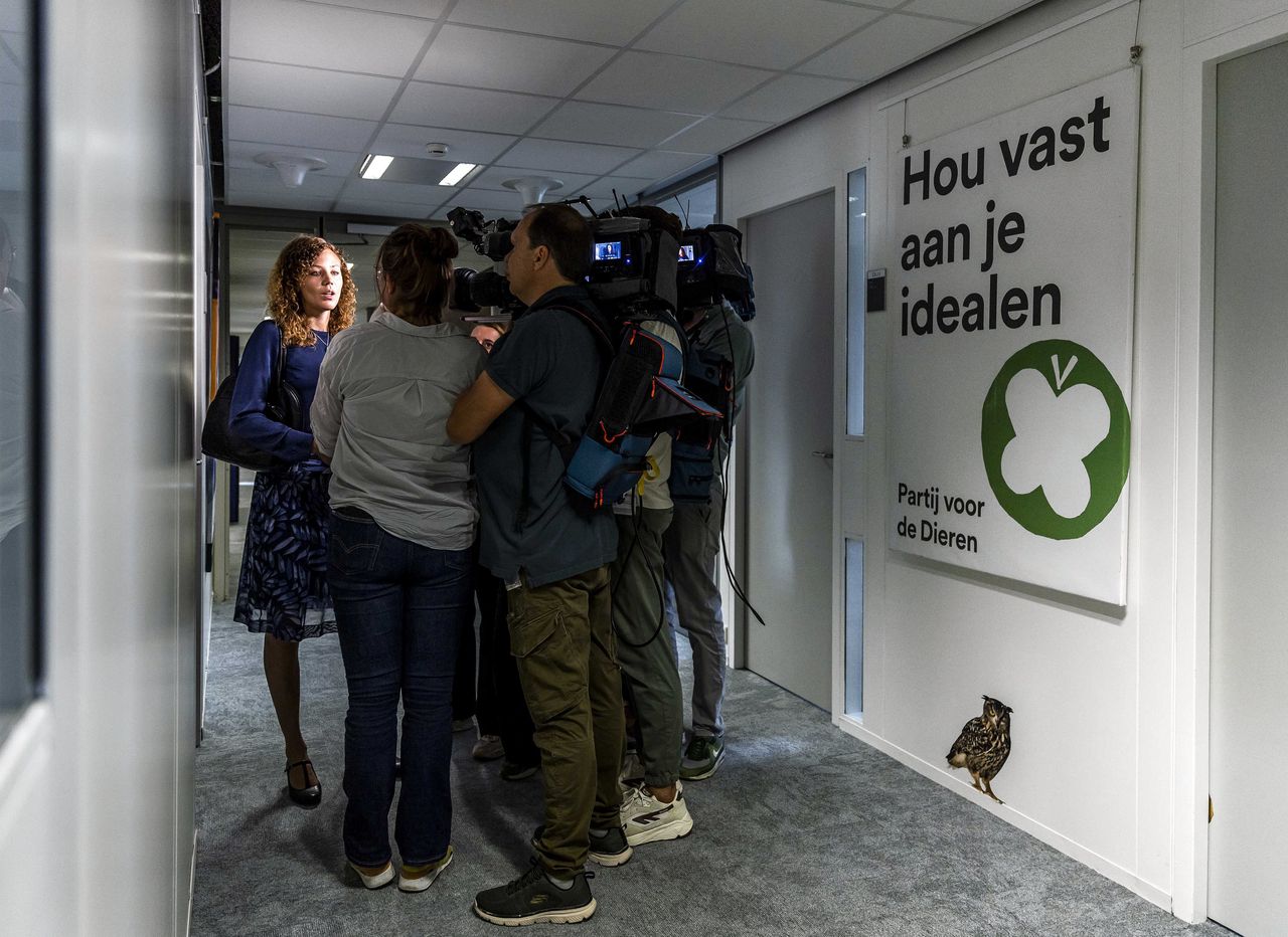 Partij voor de Dieren stelt interim-bestuur aan, doel is om ‘rust in