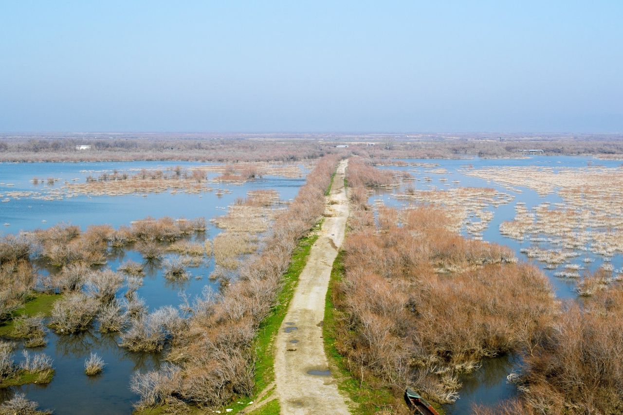 De delta van de rivier Evros, die wordt bedreigd door nitraatvervuiling.