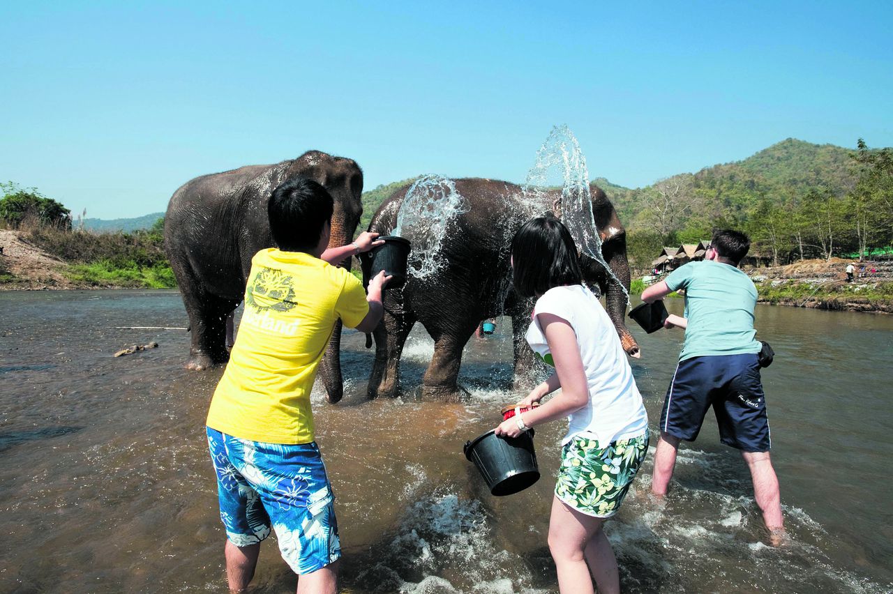 Olifantenasiel in Thailand. Foto Mario Weigt / Anzenberger THAILAND / Chiang Mai Province / Mae Taeng Valley / 2010 / Elephant Nature Park / Tourists bath the pachyderms in the Mae Taeng River. Daily bath for the animals is important for cooling and to wash off the parasites. Thai conservationist Sangduen Chailert (49) well-known nicknamed Lek (means small) has a huge heart for elephants. In 1995, Sangduen Lek Chailert started with the Elephant Nature Park on the Mae Taeng River, north of Chiang Mai. In this natural refuge, over 30 elephants can stroll freely around under control of their mahouts during the day. At the Elephant Nature Park and Elephant Haven, Lek and volunteers, mahouts and veterinarians, all take care of the elephants which abuse by the owners or have suffered injuries. After treatments and successful healing, Sangduen Chailert brings the animals to Elephant Haven, a retirement home, where the animals can wander around unhindered by chains, fences and the rules of men. Â© Mario Weigt / Anzenberger Uit serie: Olifantenasiel in Thailand (37x)