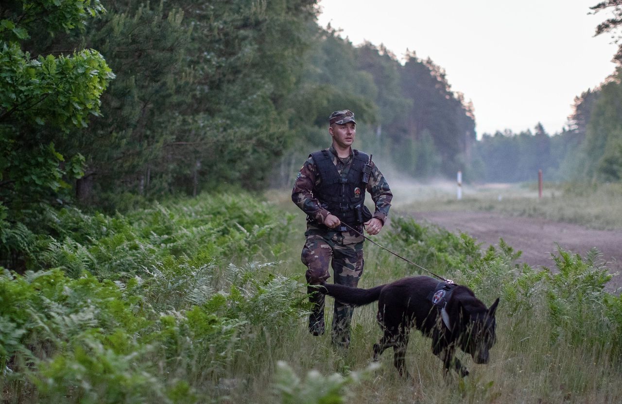 Een Litouwse grenswacht patrouilleert bij de grens met Wit-Rusland.