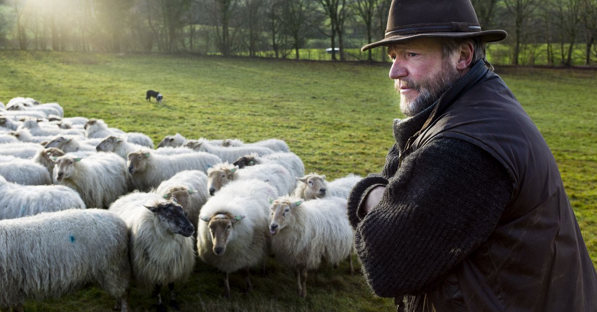 Hoera, we hebben al 350 adoptieouders!