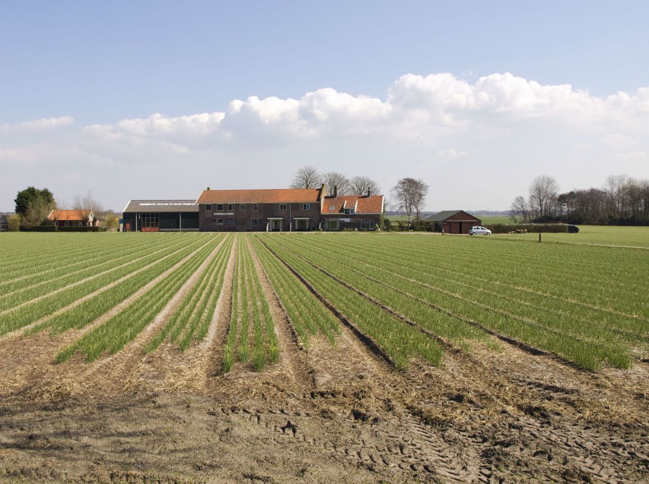 Brussel: minder EU-subsidies voor boeren 