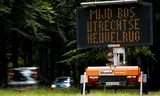 De waarschuwing 'mijd bos Utrechtse Heuvelrug' ging uit nadat een 6-jarig kind werd gebeten door een wolf. 
