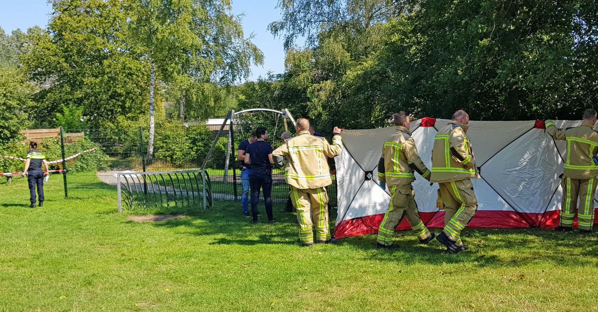 Voor veel buurtbewoners in de wijk Peelo is er maar één dader