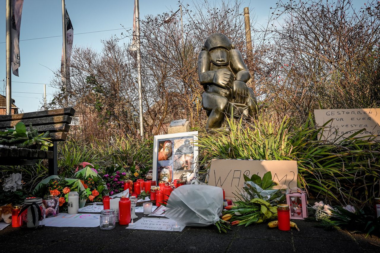 Briefjes, bloemen en kaarsen zijn achtergelaten bij de dierentuin in de Duitse plaats Krefeld nadat er op 1 januari meer dan dertig apen omkwamen bij een brand.