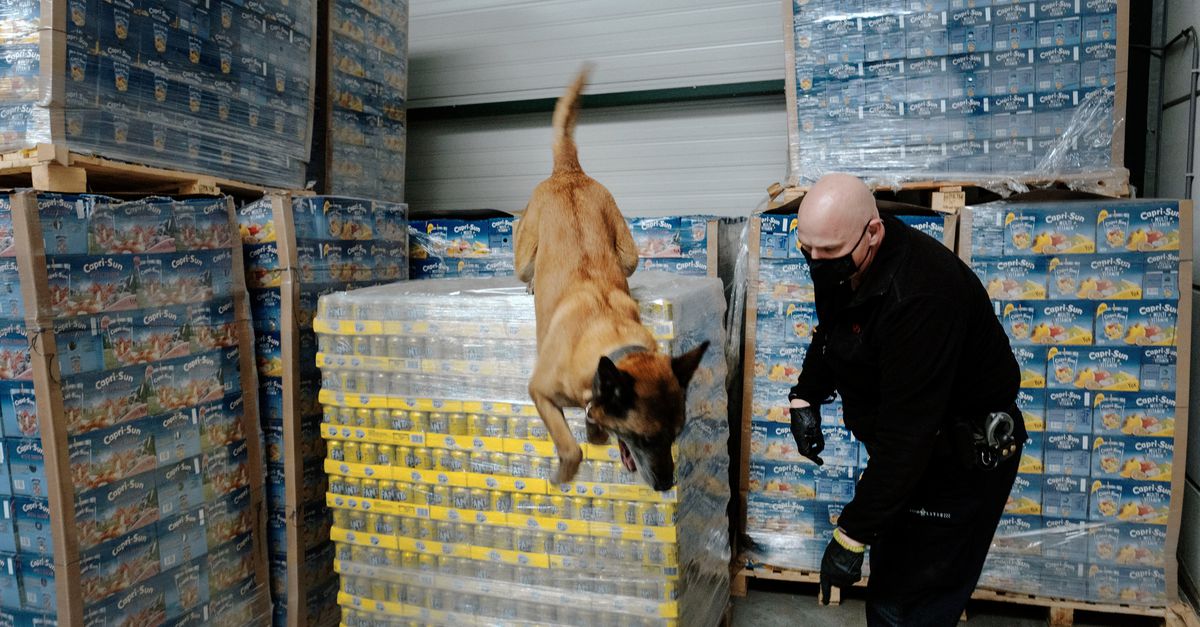 Veel drugs die Nederland binnenkomen, worden met vrachtwagens vervoerd.
