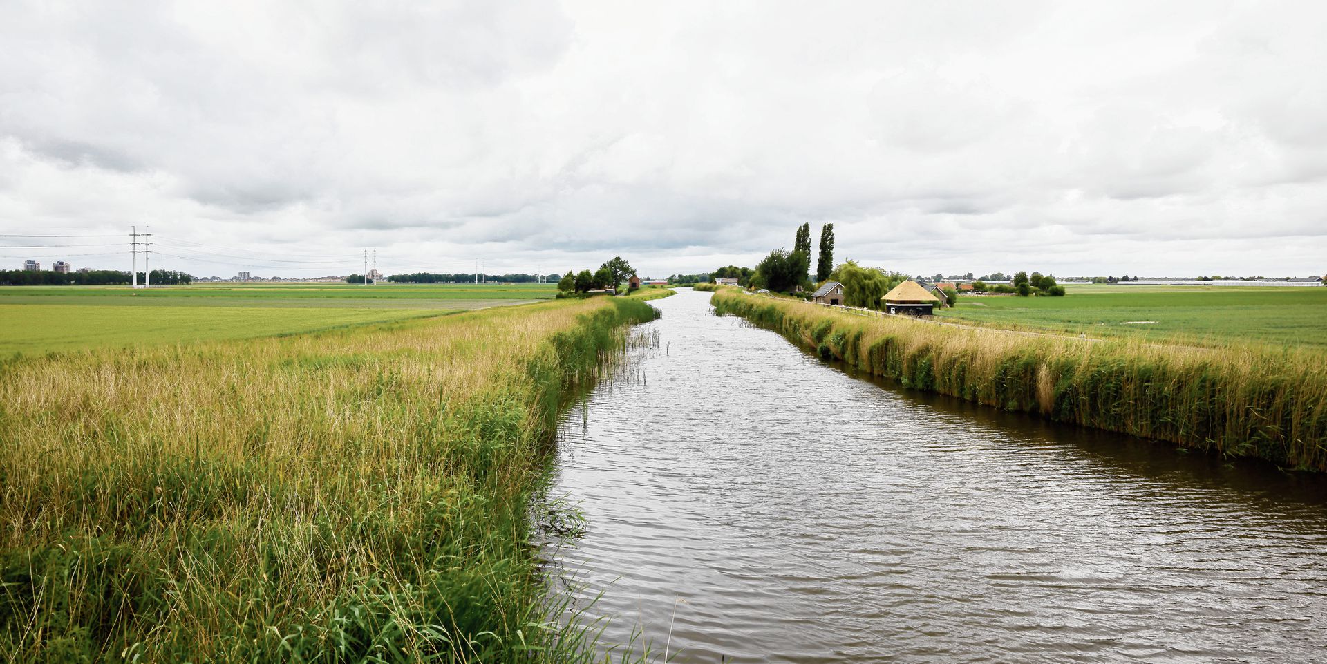 Het is dit jaar 750 jaar geleden dat de dam in de Rotte werd gelegd - NRC