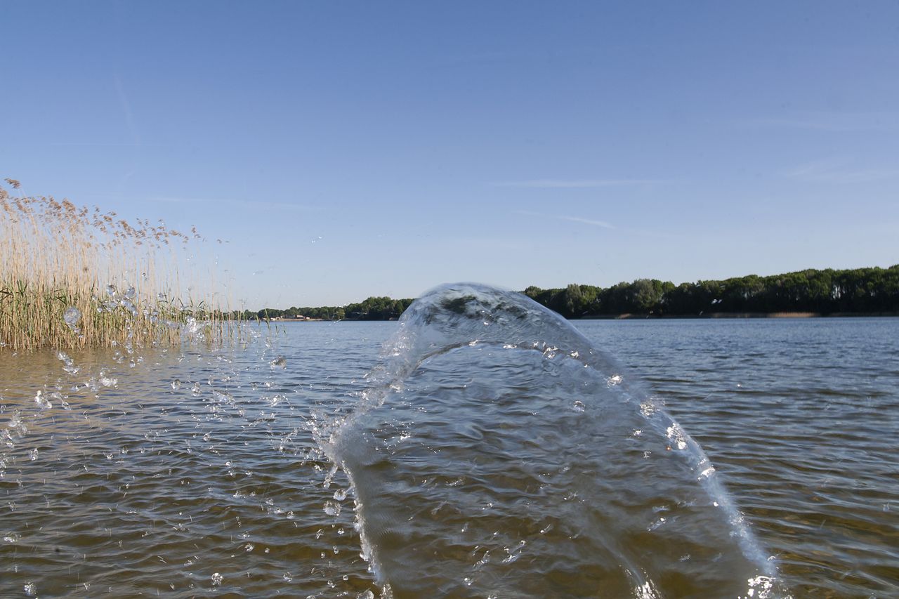 Zwemmen Met De Geur Van Aarde Kiezels Of Wier Nrc
