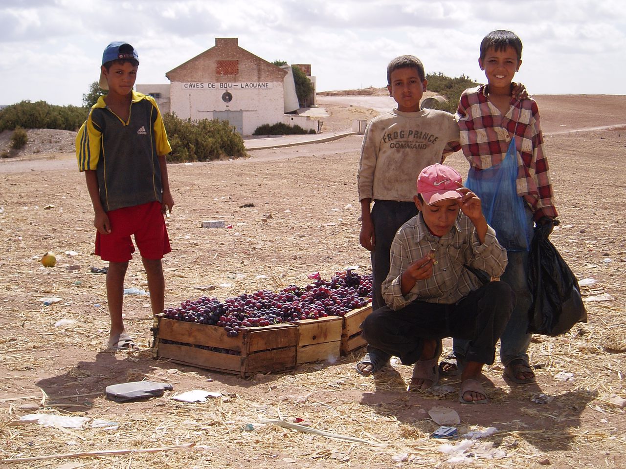 ZONNIGE WIJNSTREKEN: Mede met hulp van Franse adviseurs produceert islamitisch Marokko goede wijn. Hierboven: druivenverkoop in Boulaouane, waar de gelijknamige wijn vandaag komt. Foto Gerbert van der Aa