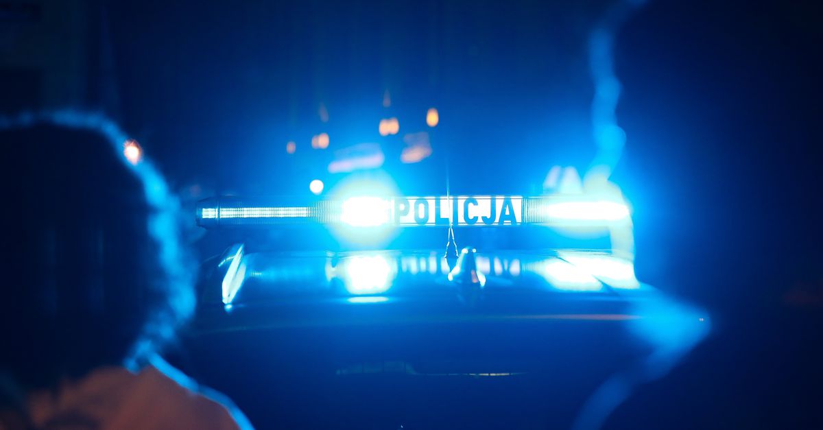 Tientallen foetussen gevonden onder oprit van Pools woonhuis