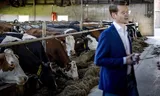 Landbouwminister Jaimi van Essen tijdens een rondleiding bij een biologisch melkveehouder. 