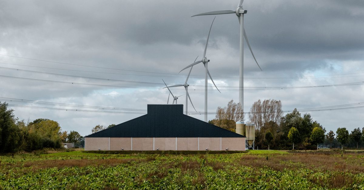 Varkenshouder Egchel kan mogelijk met overheidsgeld afbouwen en elders uitbreiden