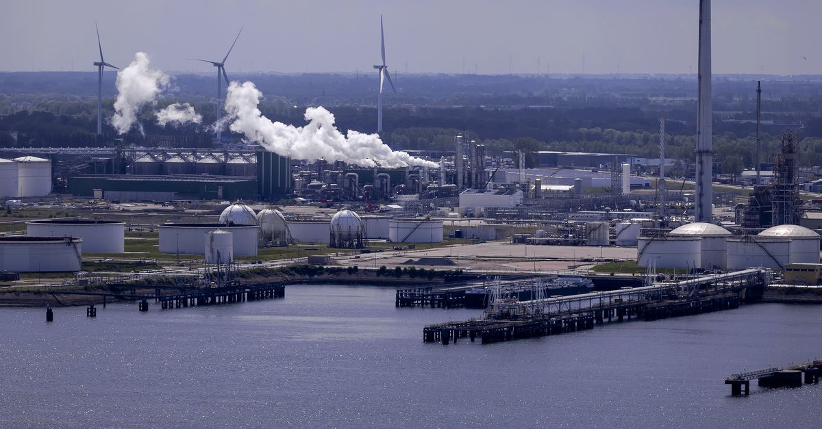 More rabbits, fewer walkers: a path out of the nitrogen deadlock in Rotterdam’s port