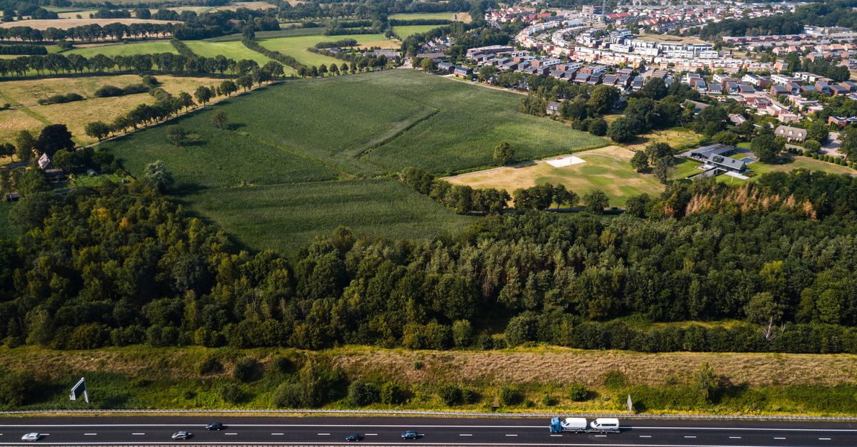 RIVM geeft smogwaarschuwing af voor komende dagen, luchtkwaliteit wordt ‘slecht’