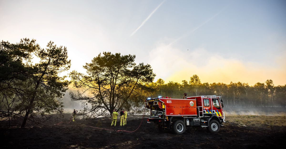 ドイツ・フランスがオランダへ消防支援、山火事が各地で拡大——空港は「数か月前から」警告