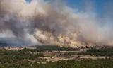De natuurbrand bij 't Harde.