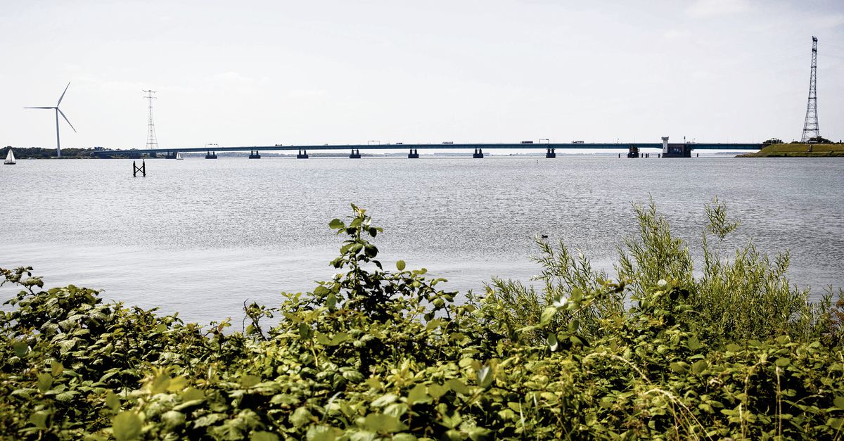 Van scholier tot specialist, iedereen strandt straks op de #Haringvlietbrug Niet gaan samenwonen, uren in de file voor werk of school.