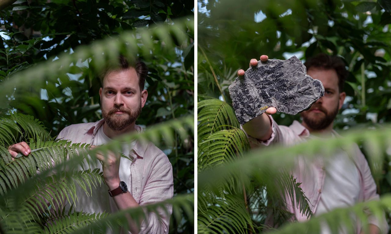 Paleontoloog Remco Bos was eigenlijk meer een stenenman, maar ‘inmiddels ben ik geobsedeerd door varens’