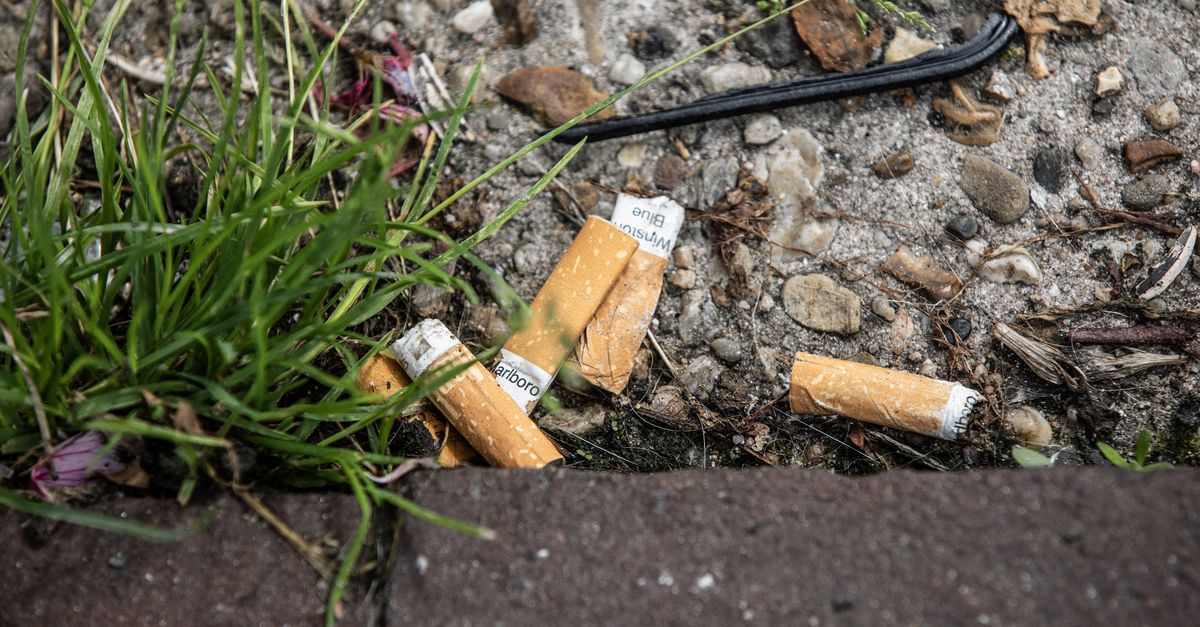 Een verbod op sigarettenfilters zou goed zijn voor het milieu, zegt het RIVM. Ze doen ook niks voor de gezondheid: dat is ‘marketing’
