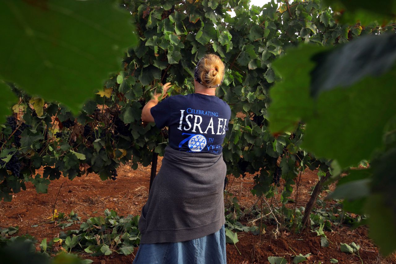 EU-hof: aparte etiketten voor producten uit Israëlische nederzettingen 