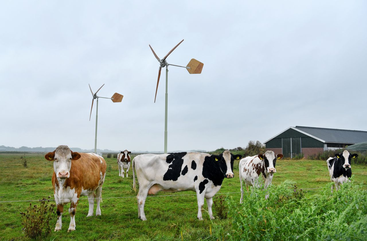 De windmolens van EAZ Wind uit Hoogezand.