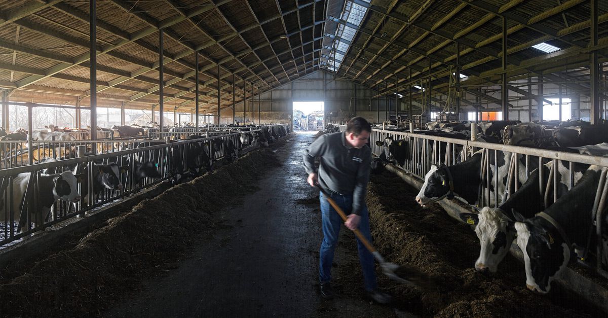 Zijn innovatieve technologieën een goed alternatief om de stikstofuitstoot te verlagen?