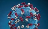 Model van het mazelenvirus, met twee verschillende eiwitten die als spijkers uit de mantel steken. Door deze eiwitten kan het virus zo goed menselijke cellen infecteren.