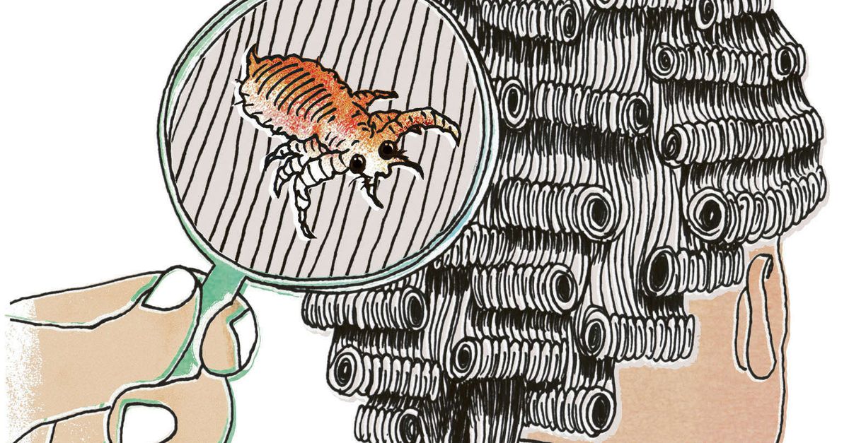 Tijd voor een luis in de pels - NRC