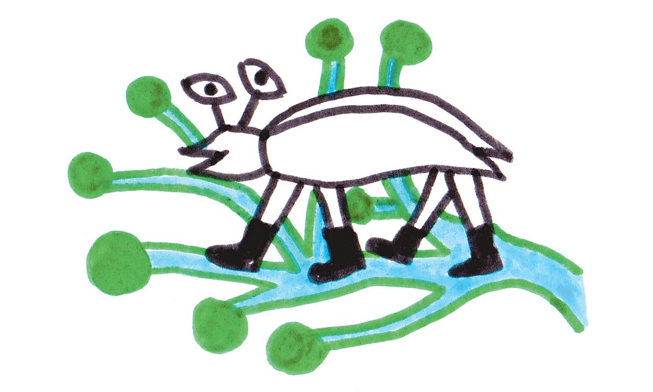 Een wandeling door de nieuwe natuur in het Brabantse wetland - NRC