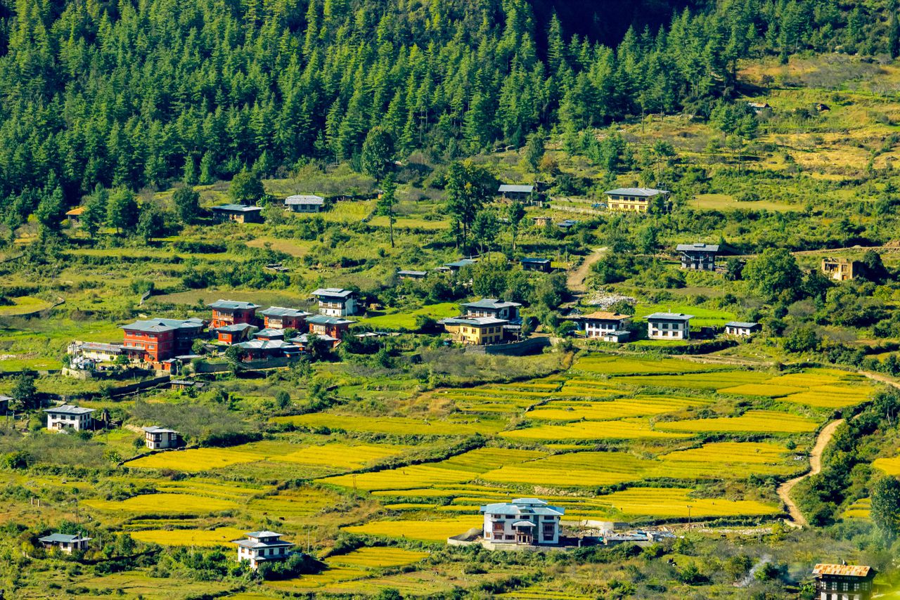 De Paro-vallei, in het noordwesten van Bhutan, in de Himalaya. Nabij de gelijknamige stad ligt het enige internationale vliegveld van het koninkrijk.