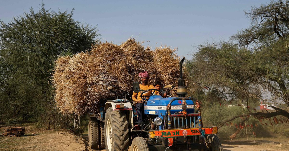 The impending global food shock is preventable