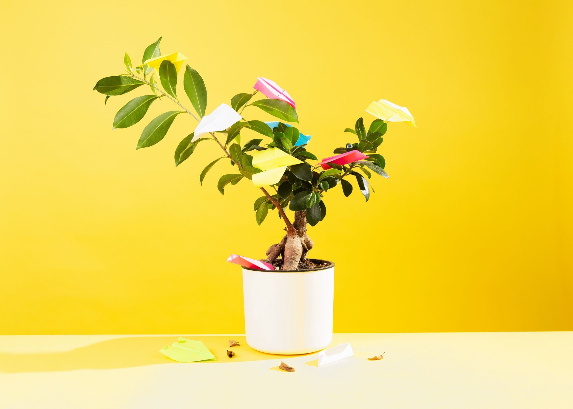 Boek een ticket, plant een boom? Zo simpel is het niet - NRC