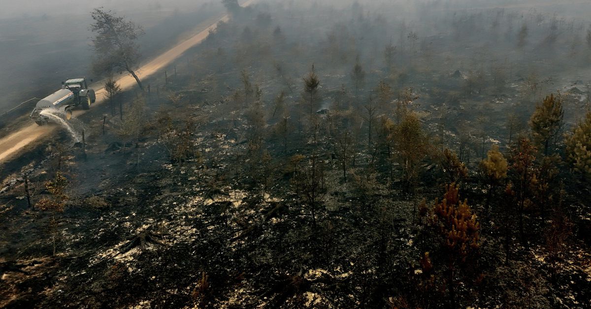 Het bos van de Belgische Hoge Venen werd juist weerbaarder gemaakt met vernatting en diversere aanplant. ‘Nu is jaren aan werk in rook opgegaan’